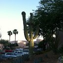 arizona from kells camera - IMG_3194